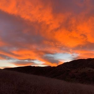 Meet your Posher, Marcia